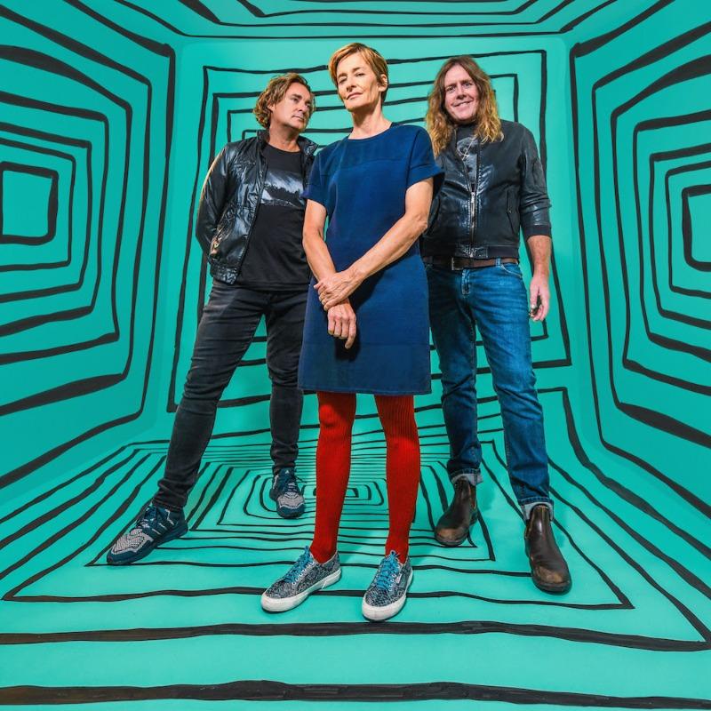 Spiderbait